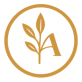 Anima Bistro & Garden